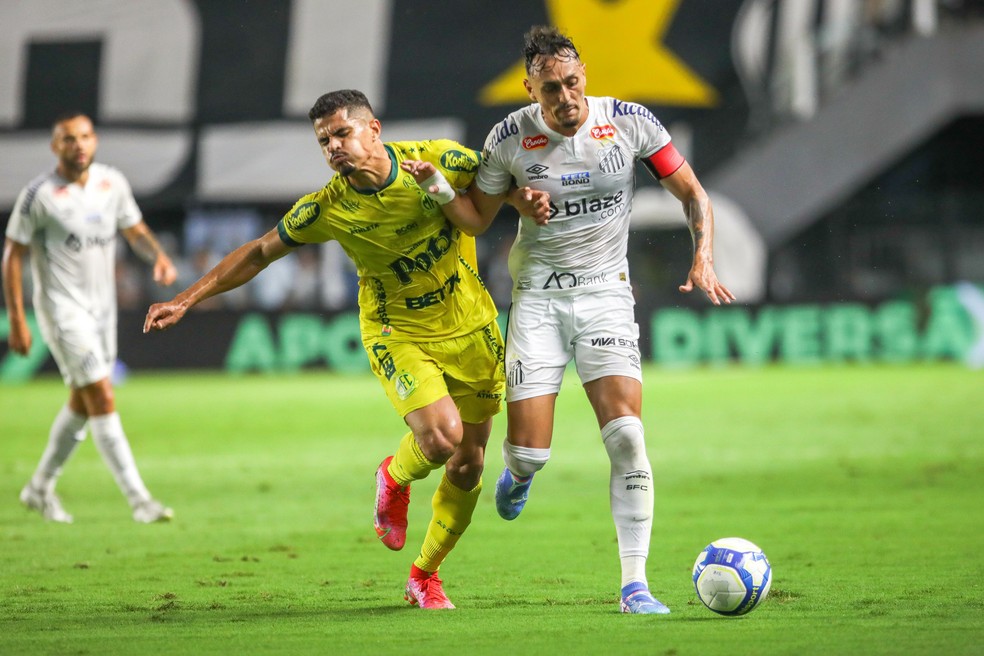 Santos domina histórico contra o Mirassol; veja o retrospecto para o Bolão do Cartola | gato mestre | gatomestre